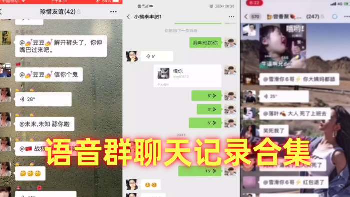语音群聊天记录合集