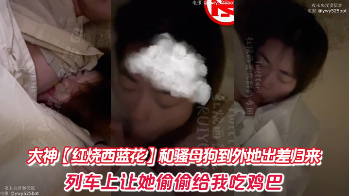 大神【红烧西蓝花】和骚母狗到外地出差归来。列车上让她偷偷给我吃鸡巴